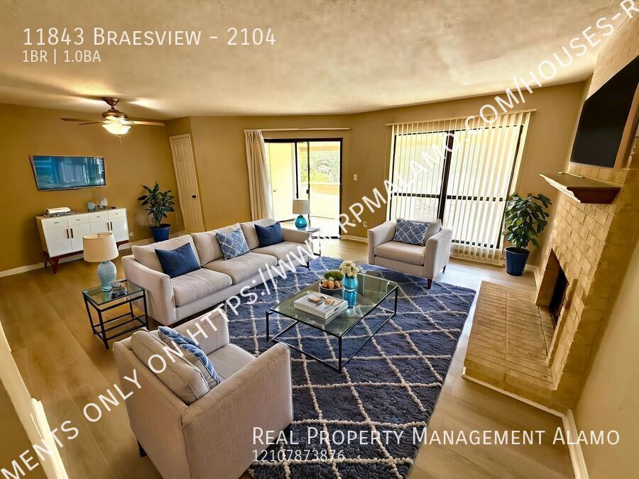 11843 BRAESVIEW