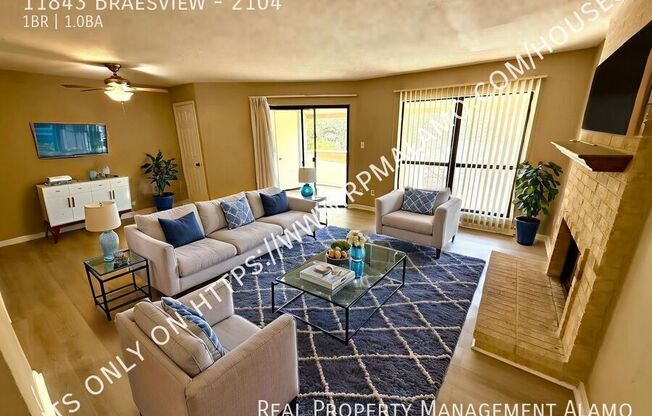 11843 BRAESVIEW