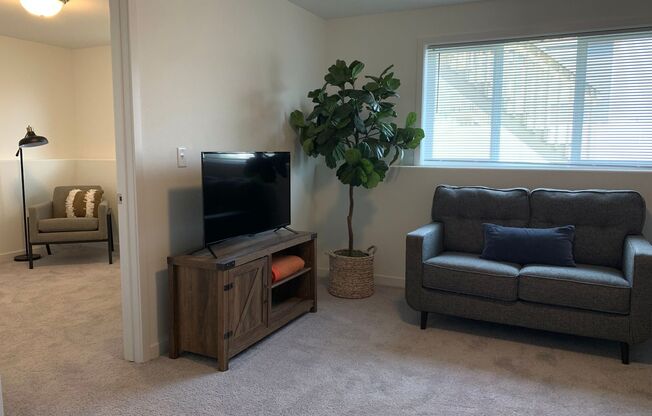 3 beds, 2 baths, $2,595