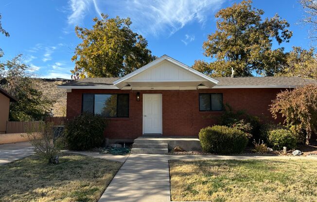 Upgraded Downstairs Duplex w/ Large Backyard!