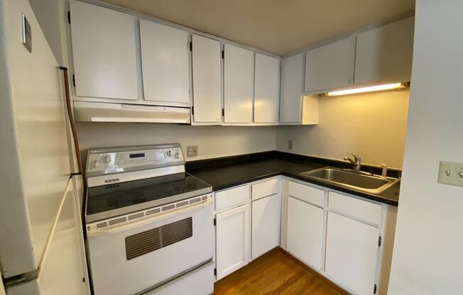 Studio, 1 bath, 480 sqft, $950, Unit Unit 4