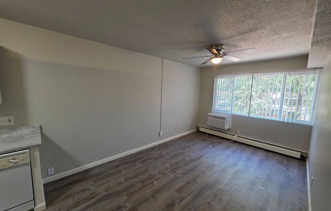 Studio, 1 bath, 490 sqft, $749, Unit Unit 314