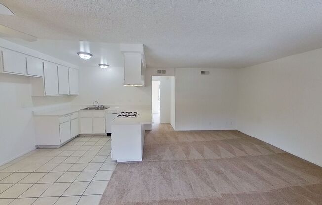 1 bed, 1 bath, 704 sqft, $2,100