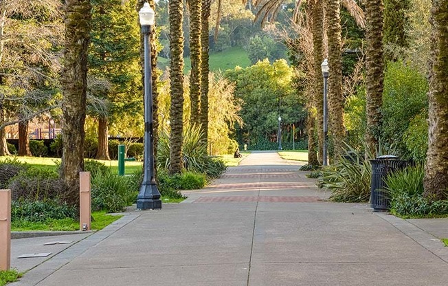 Walking Path in Park  at 215 BAYVIEW APARTMENTS, San Rafael, CA