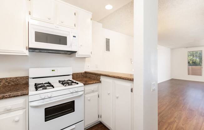 Kitchen and Living Room with Hard Floor