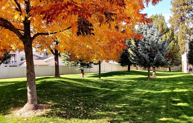 2 beds, 1 bath, 966 sqft, $1,550, Unit 9335