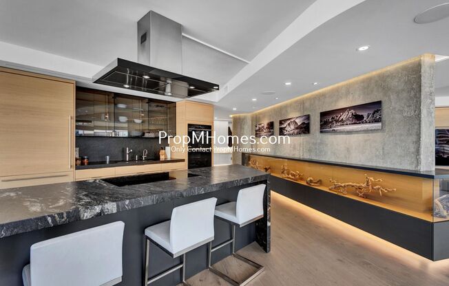 Fully Updated Luxury Portland Penthouse - The Gem of the City!