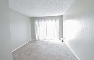 an empty room with white carpet and a window