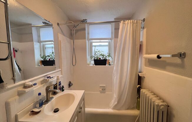 Studio, 1 bath, 300 sqft, $1,495, Unit Unit 211
