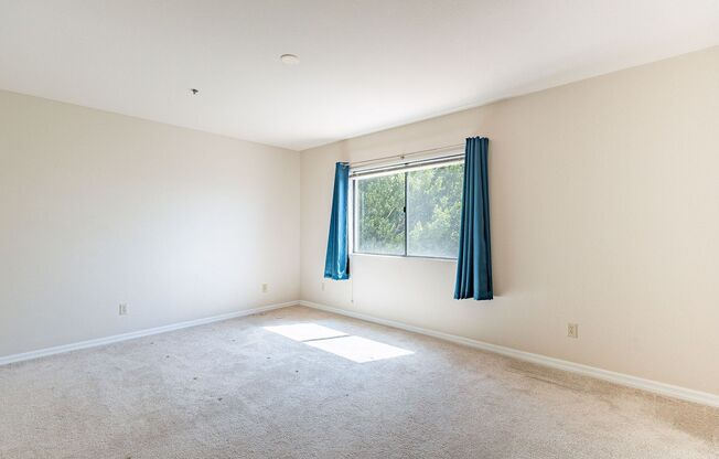 1 bed, 1 bath, $1,600, Unit #337