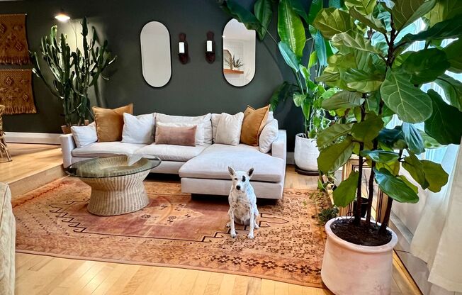 Available in July! Pet Friendly Fully Furnished Townhouse close to Hospitals, UAA