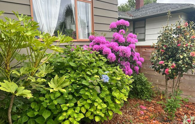 Lovely Fairmount Community Bungalow in West Seattle- $3400