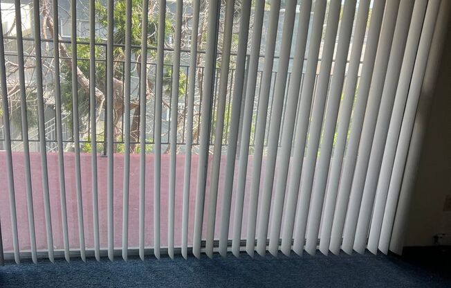 1 bed, 1 bath, $2,300, Unit 210