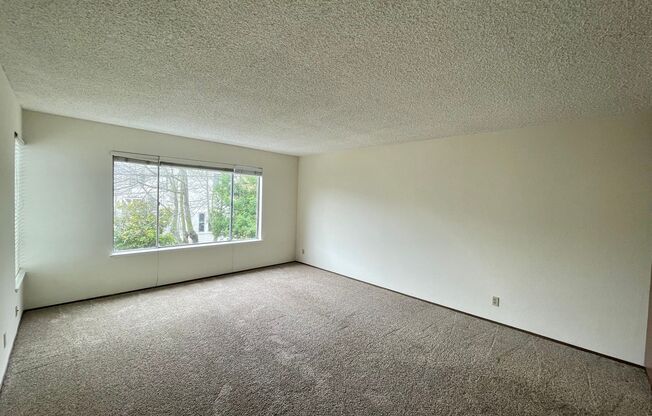 1 bed, 1 bath, $2,595, Unit 04