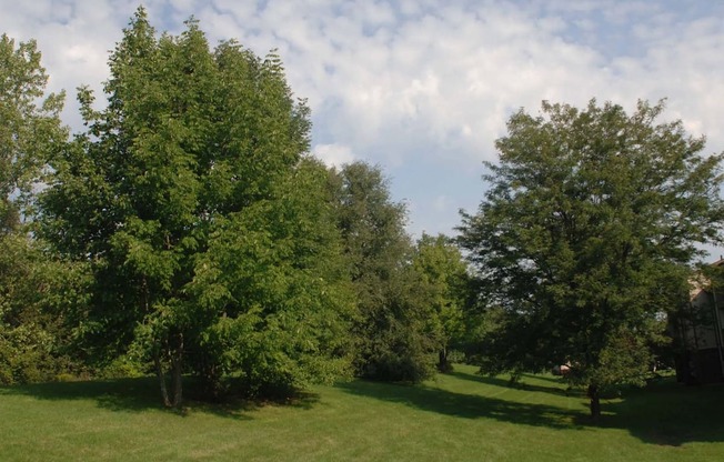 Beautiful Grounds