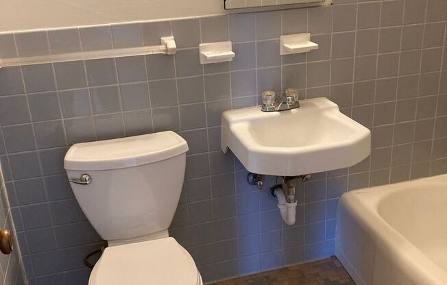 1 bed, 1 bath, $1,029, Unit 3854-022