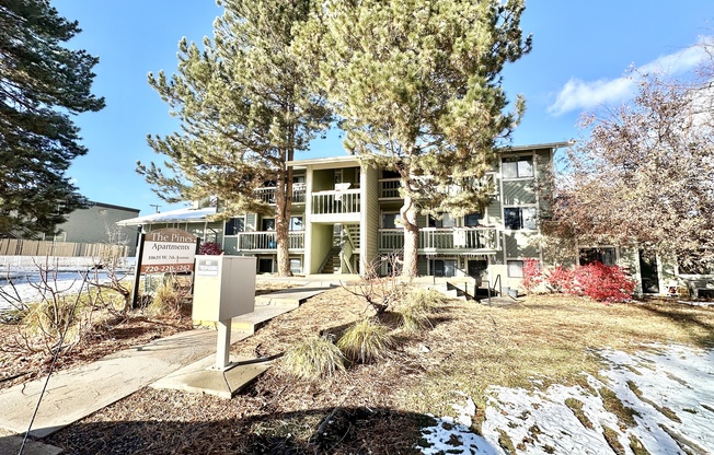 THE PINES Apartments