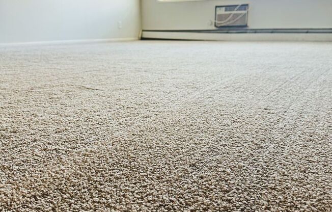 1 bed, 1 bath, 750 sqft, $1,175, Unit Unit 110