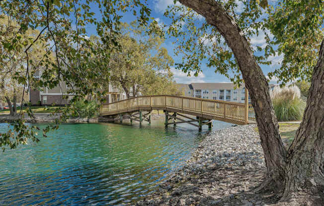 a bridge over a body of water next to a tree