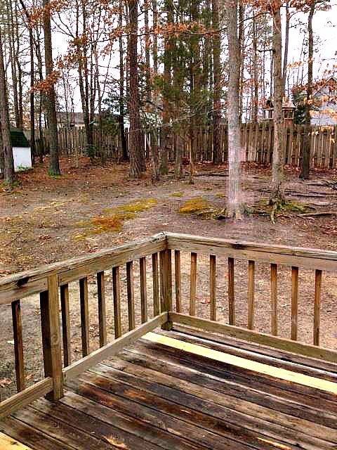 3 BR / 2 BA Gorgeous Roomy Home in Wooded Area - Pets Considered.