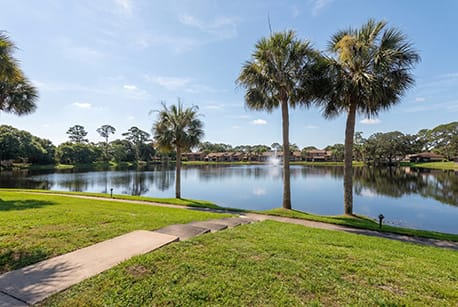 A serene park with a lake, palm trees, and a clear sky.