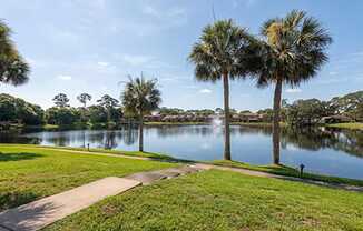 A serene park with a lake, palm trees, and a clear sky.
