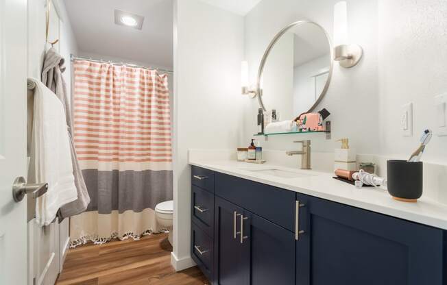 a bathroom with a sink and a toilet and a shower with a shower curtain