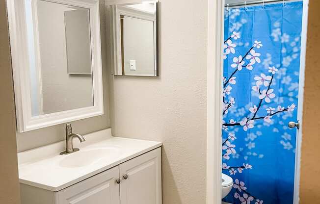 a bathroom with a sink and a mirror and a shower curtain