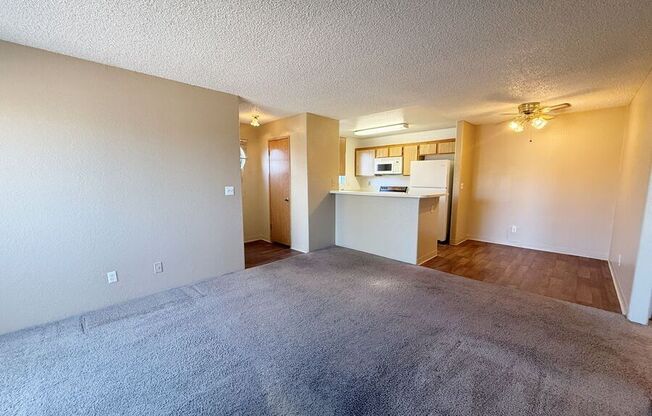 2981 JUNIPER HLS BLVD