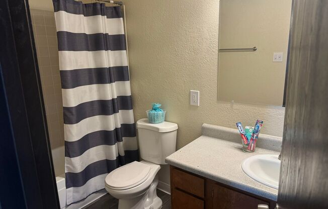 Studio, 1 bath, 406 sqft, $955, Unit 12