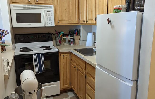Studio, 1 bath, 431 sqft, $2,600, Unit 1503