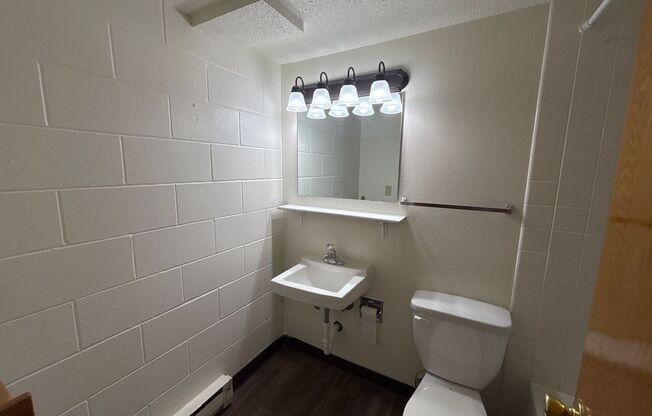 Studio, 1 bath, 500 sqft, $650, Unit 213