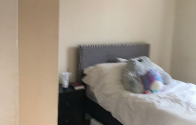 1 bed, 1 bath, 528 sqft, $1,300, Unit 206