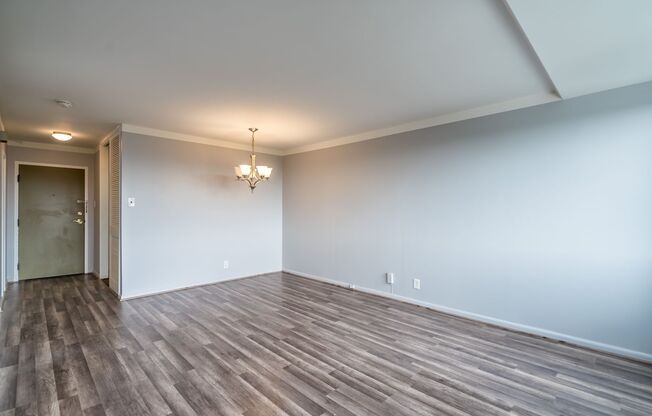 1 bed, 1 bath, $1,700