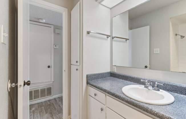 a bathroom with a sink and a mirror and a shower