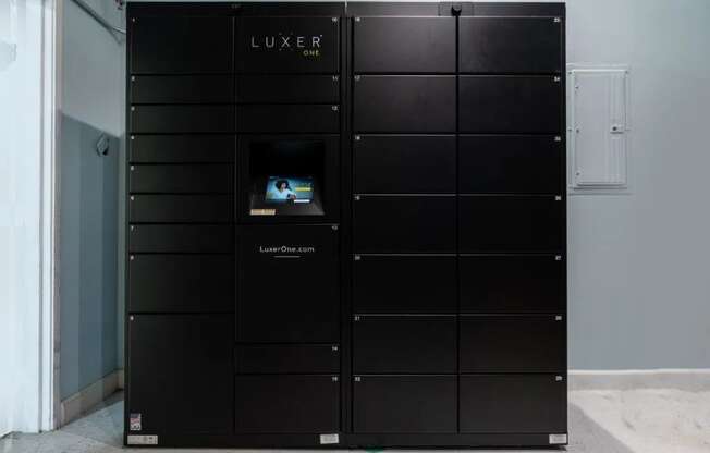 the lockers are black with a screen in the door