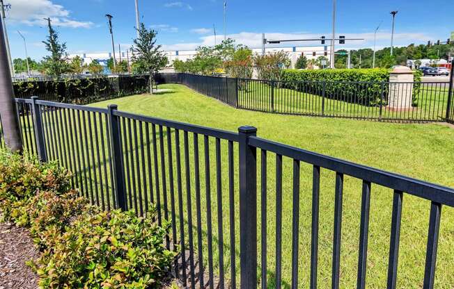 a black aluminum fence in a yard with a green lawn