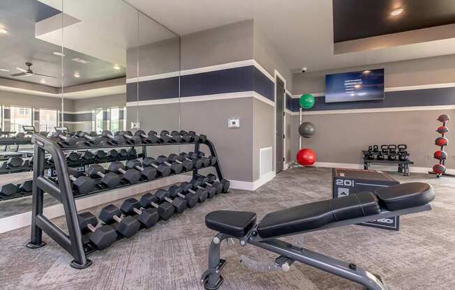 A gym with a variety of equipment including dumbbells, a bench press, and a television.
