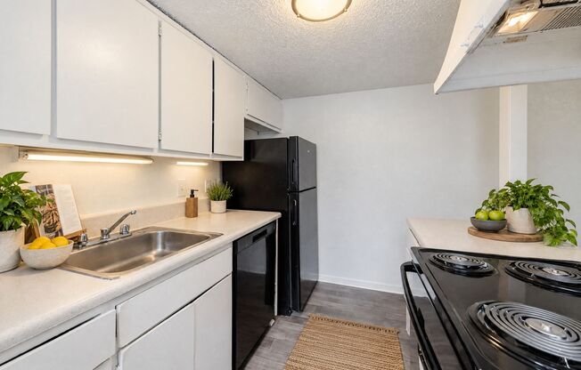 2 beds, 2 baths, 1,016 sqft, $1,195, Unit 2-13B