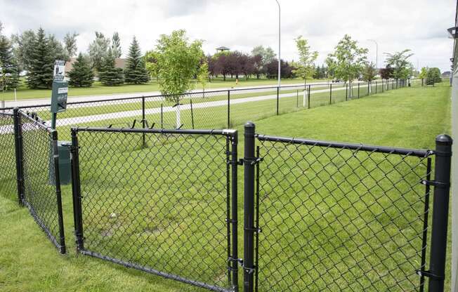 Gated Dog Park