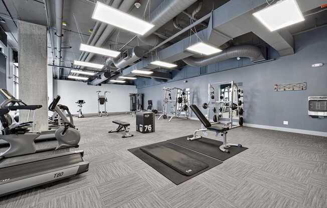 A gym with treadmills, weights, and exercise equipment.