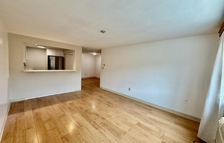 1 bed, 1 bath, 999 sqft, $1,900, Unit 4L