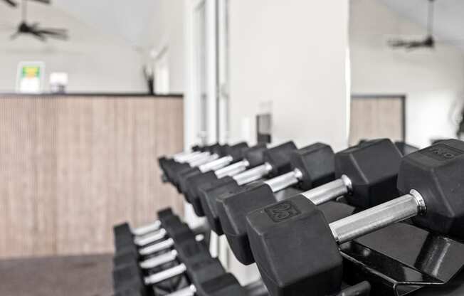 a row of dumbbells in a gym at Palm Grove in Ellenton, FL 34222