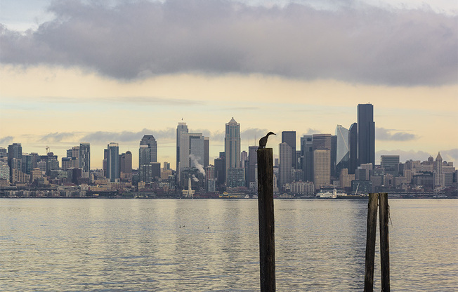 1 bed, 1 bath, 700 sqft, $1,850, Unit 10