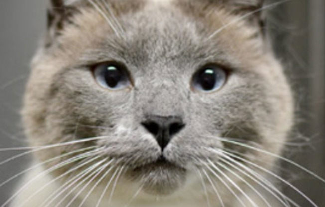 1 bed, 1 bath, 670 sqft, $1,549, Unit 303