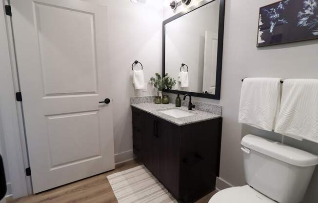 a bathroom with a toilet and a sink and a mirror