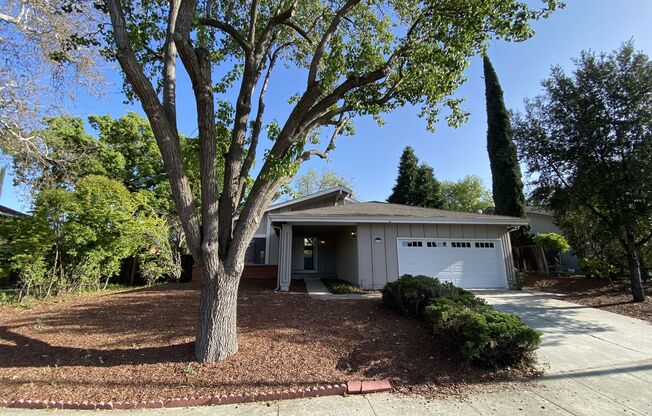 ALMADEN VALLEY - Spacious single story home with fenced yard, great location