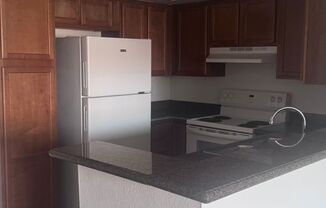 1 bed, 1 bath, 717 sqft, $950