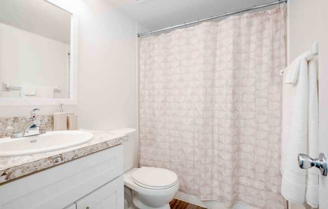 a bathroom with a shower and a toilet and a sink