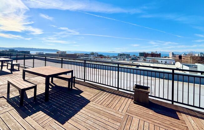 Studio, 1 bath, 547 sqft, $1,495, Unit 205